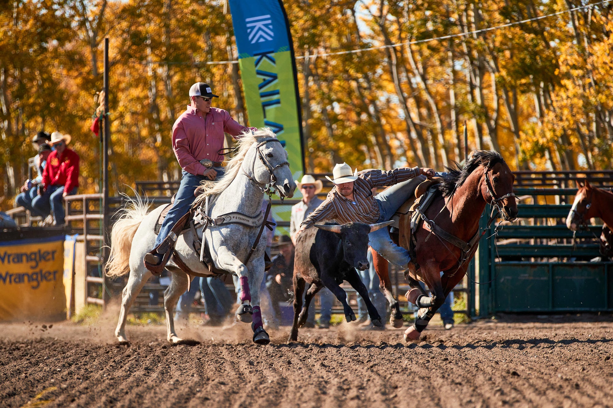 KAILANI Announces National Partnership with The Canadian Professional Rodeo Association “CPRA”